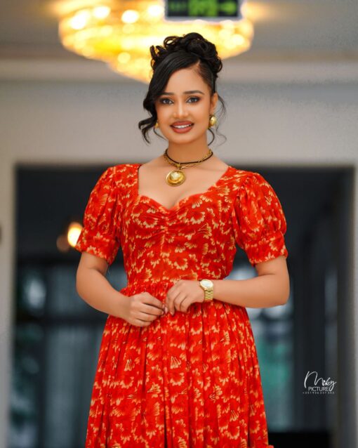 Chiffon dress